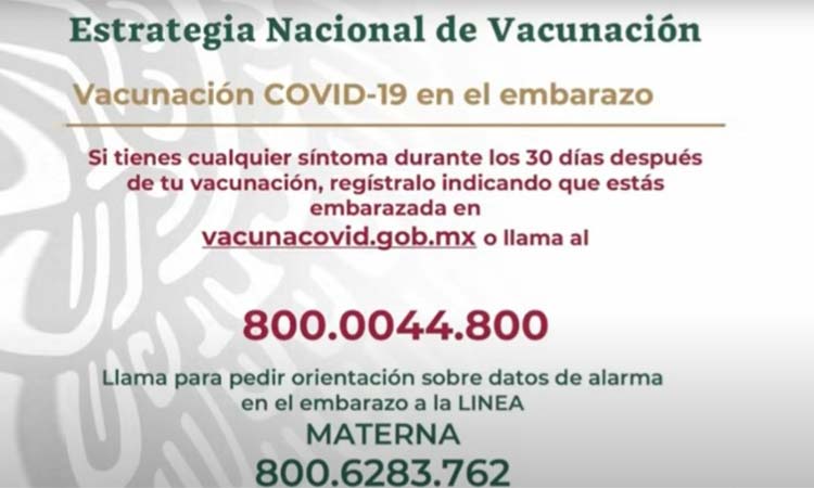 Abre el gobierno federal registro para vacunación de mujeres embarazadas