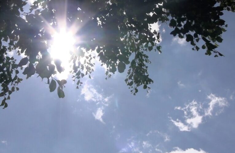 La Secretaría de Salud Guerrero reitera recomendaciones a la población para evitar casos de golpe de calor