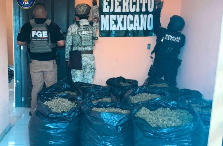 FGEGuerrero rescata a hombre de origen extranjero privado de la libertad y asegura droga en Tlacoachistlahuaca